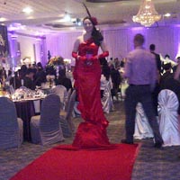 TDC Entertainment Red Carpet Dress a fabulous to welcome your guests