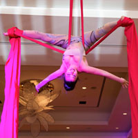 TDC Entertainment offers breathtaking aerial acts